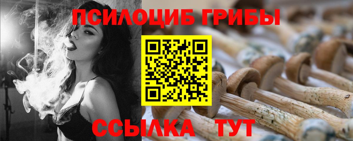 Псилоцибиновые грибы Psilocybine cubensis  Вход с VPN  Псилоцибиновые грибы Cubensis  Светлоград 